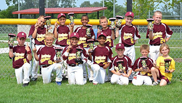 Brandywine and Howard Township will host the Cal Ripken state tournament in several age divisions beginning at noon today. (Leader photo/file)