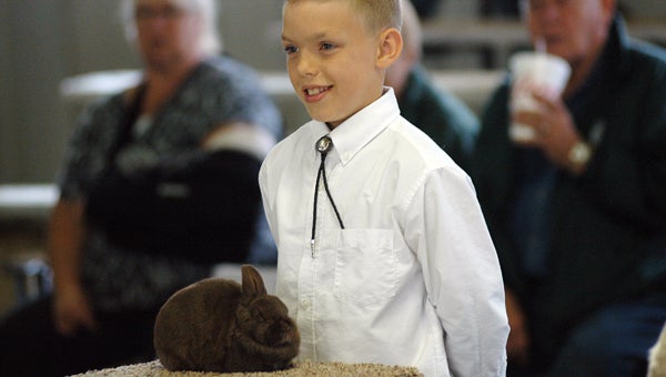 Micah Samys, of Niles, shows a rabbit during the overall showman competition Wednesday at the Cass County Fair. Samys took first in the beginner class for the second year in a row. Leader photo/CRAIG HAUPERT