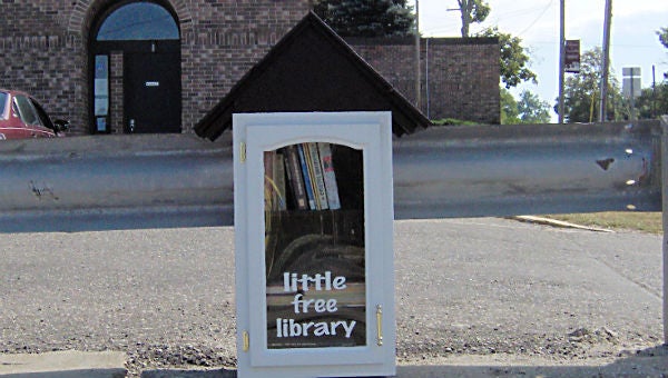 Steve and Marty Kaszar donated this Little Free Library to the Village of Vandalia. (Leader photo/Provided)