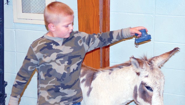 Among the things Cassopolis Fall Festival goers could do was go to the petting zoo at Red Brick (Leader Photo/SCOTT NOVAK)
