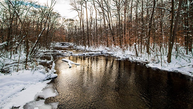 Cass County Park Glistens With Snow After Heavy Precipitation Leader Publications Leader