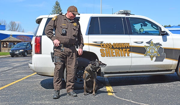 No need for K-9s': New Mexico sheriff's department announces