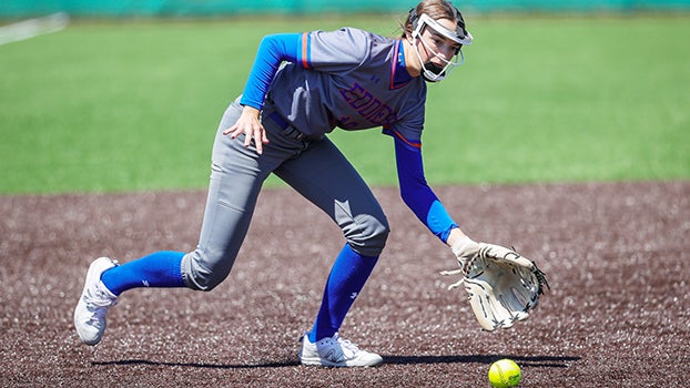 Edwardsburg sweeps Vikings in baseball and softball - Leader Publications