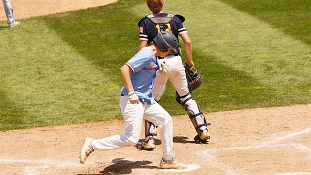 Bridgman baseball advances to state final after 3-2 win over  Standish-Sterling