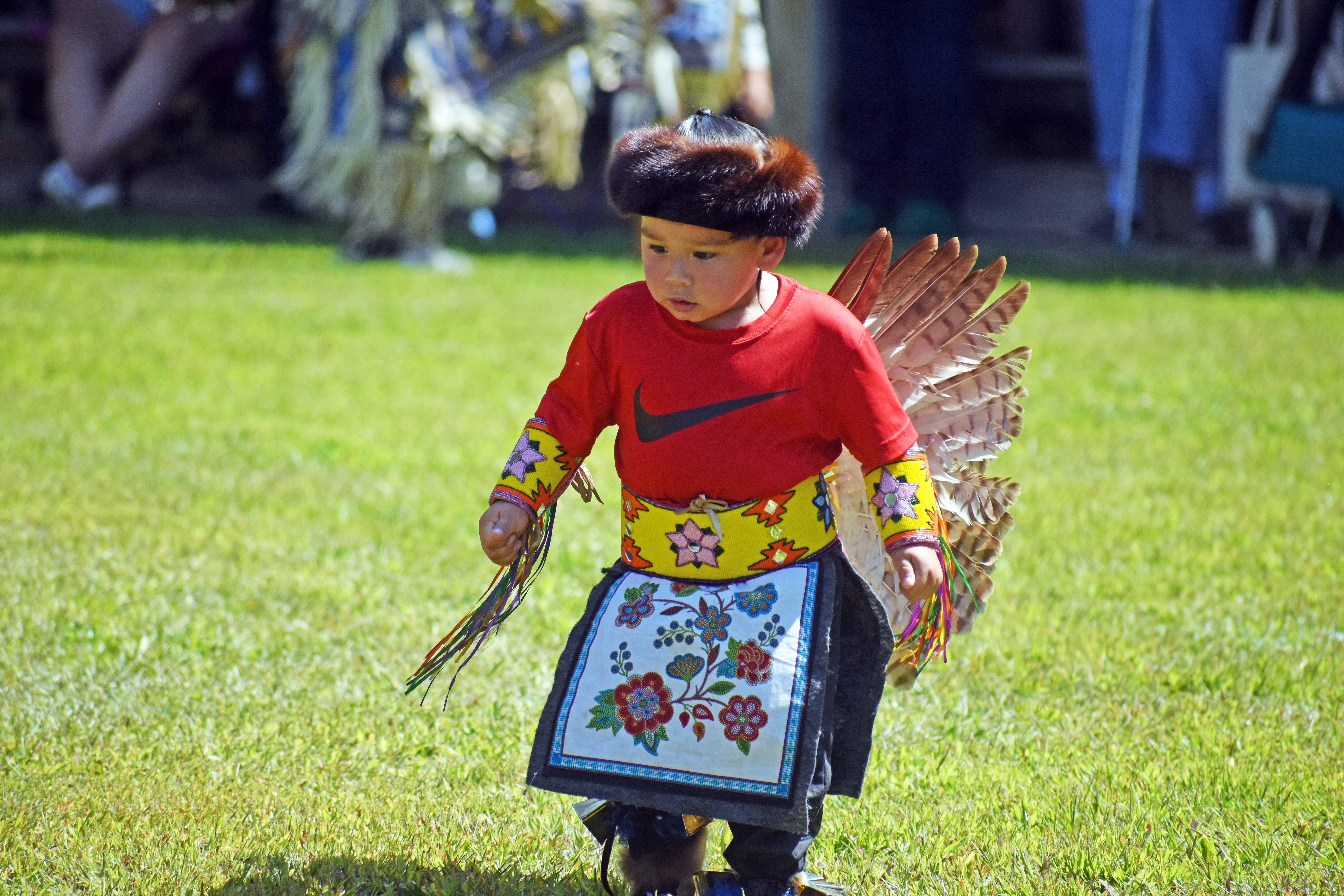 Photo Story Pokagon Band Hosts Annual Kee Boon Mein Kaa Pow Wow Leader Publications Leader 1463