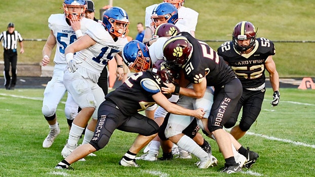 Brandywine routs Comstock for first-ever playoff victory - Leader  Publications