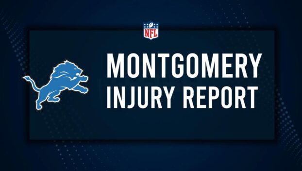 Will David Montgomery Play in the NFC Divisional Round? NFL Injury Status, News & Updates